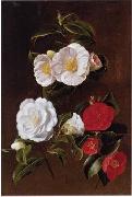 unknow artist Floral, beautiful classical still life of flowers 028 oil on canvas